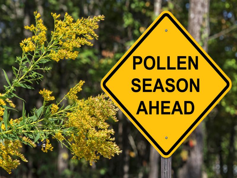 3 Top Tips for Defeating Troublesome Spring Allergies